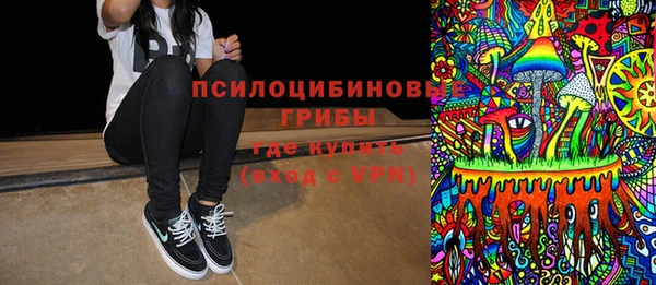 крисы Алексин