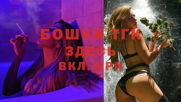 крисы Алексин