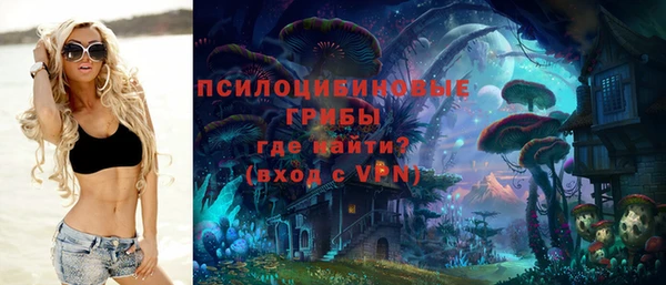 крисы Алексин