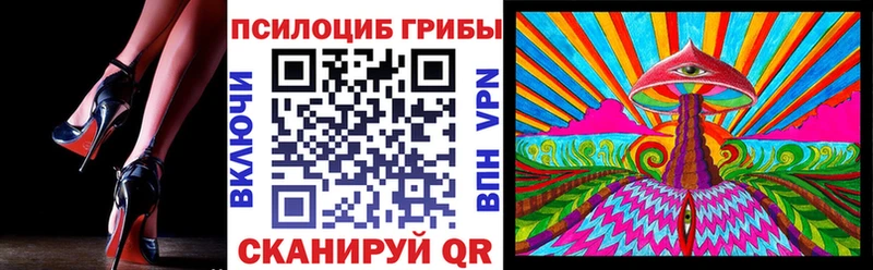 Псилоцибиновые грибы Psilocybine cubensis  блэк спрут ссылки  Нерехта  цены наркотик 